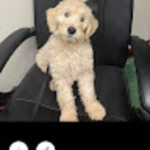 Meet your Posher, Jackie